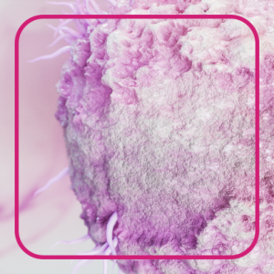 MENOPAUSIA HERPES